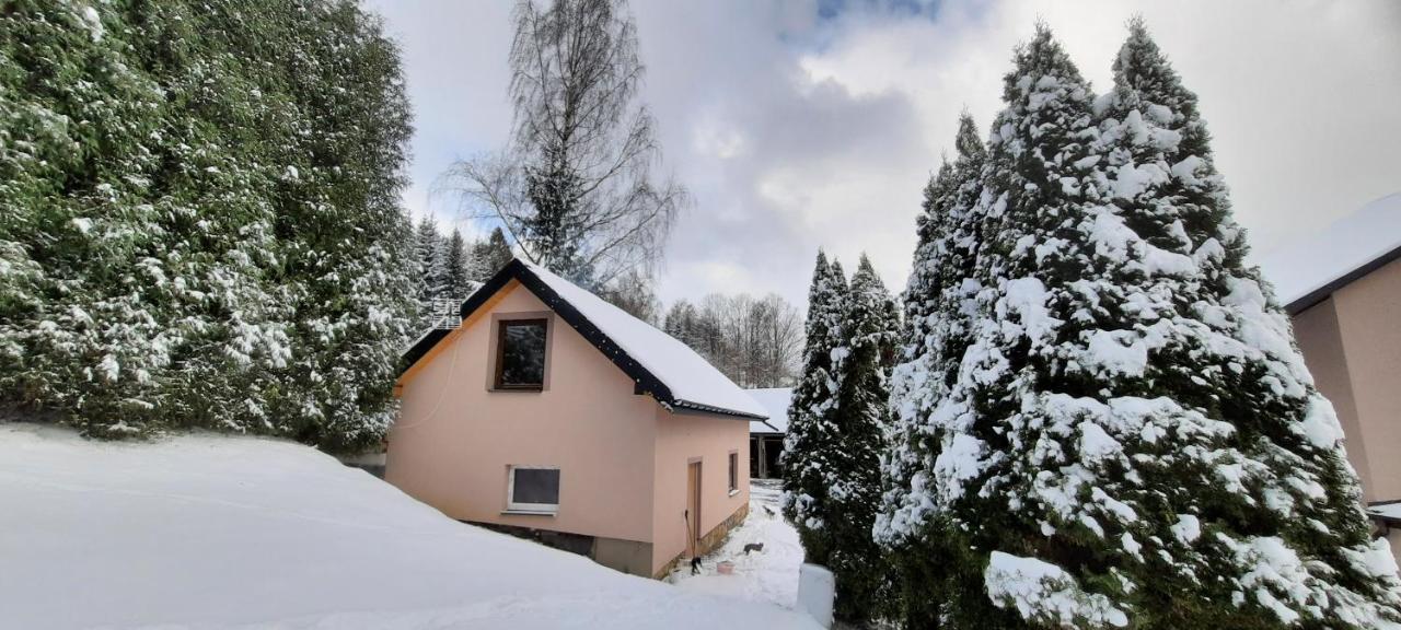 Domek alpejski Przy Zlotym Groniu Istebna