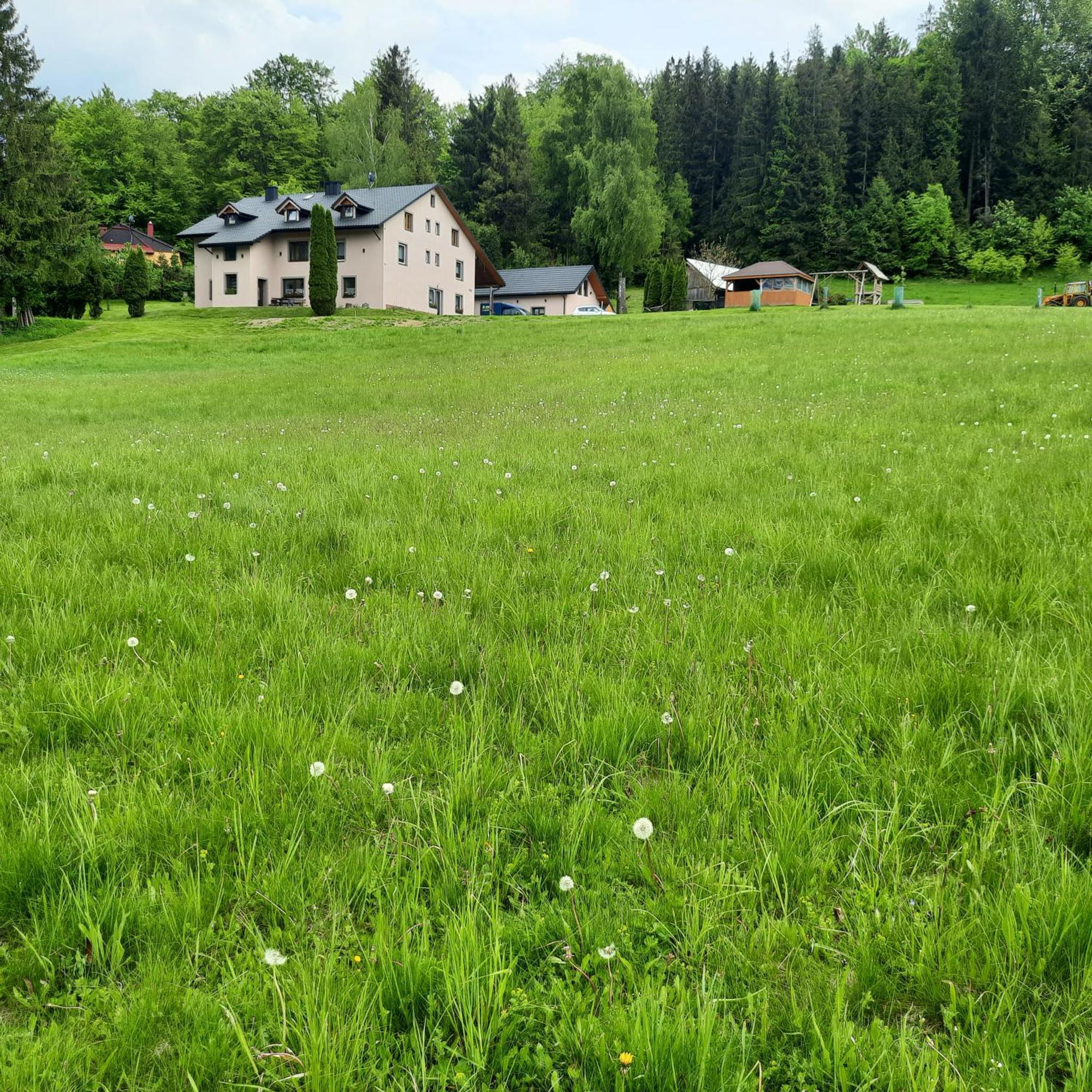 Przy Zlotym Groniu *